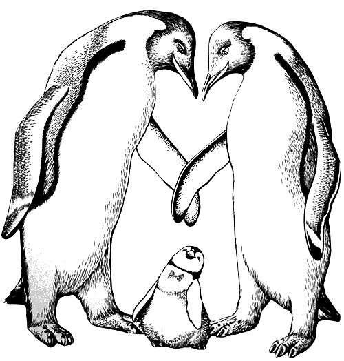 Pingüino #8181