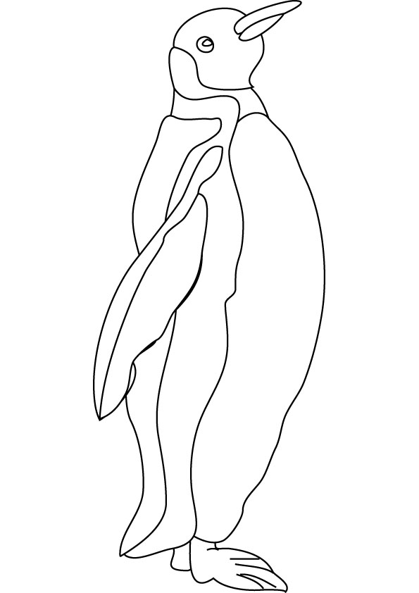 Pingüino #8225