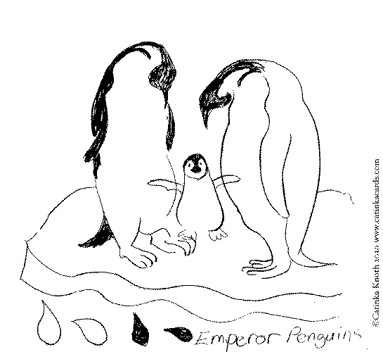 Pingüino #8226