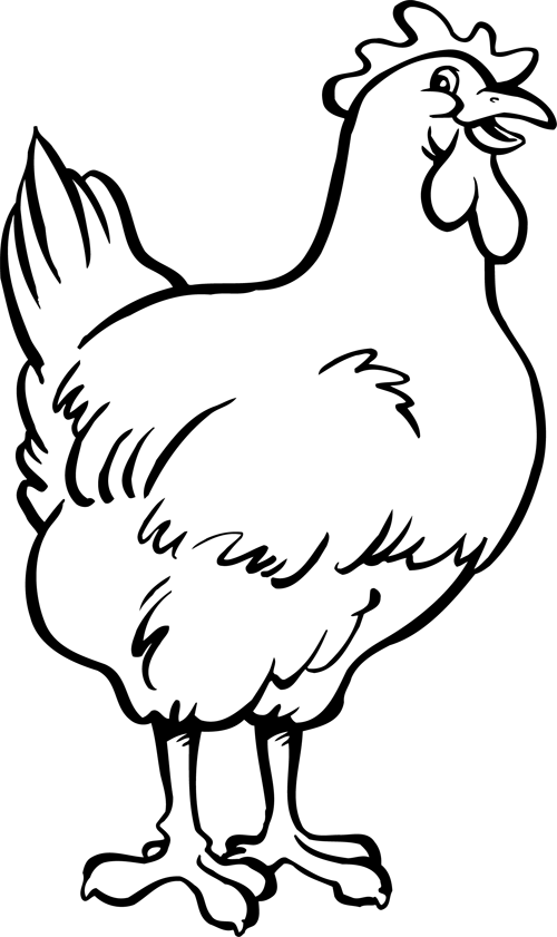 Pollo #8237