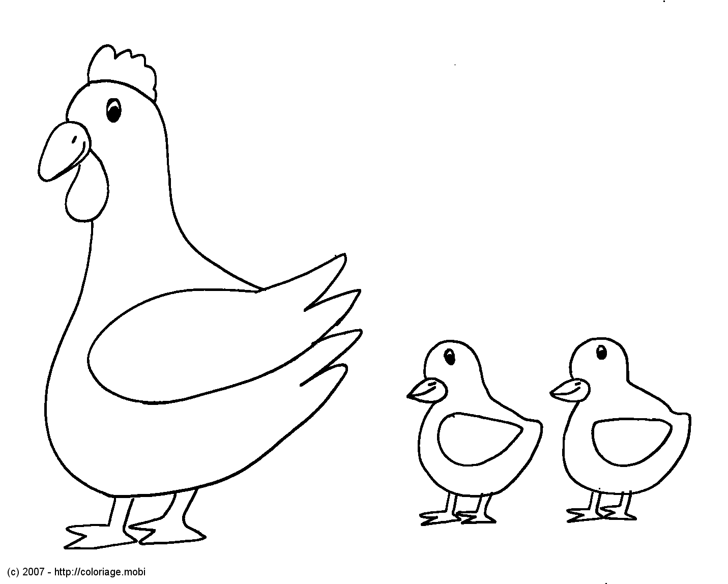 Pollo #8245