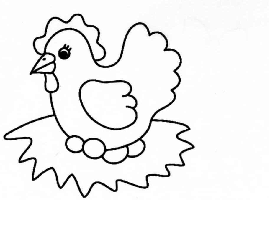 Pollo #8247
