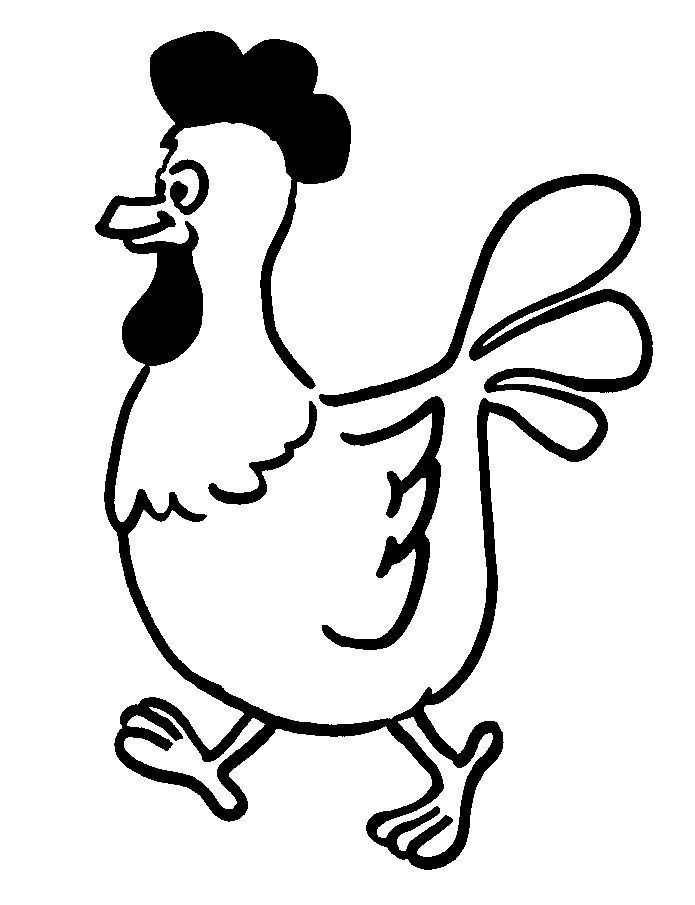 Pollo #8251