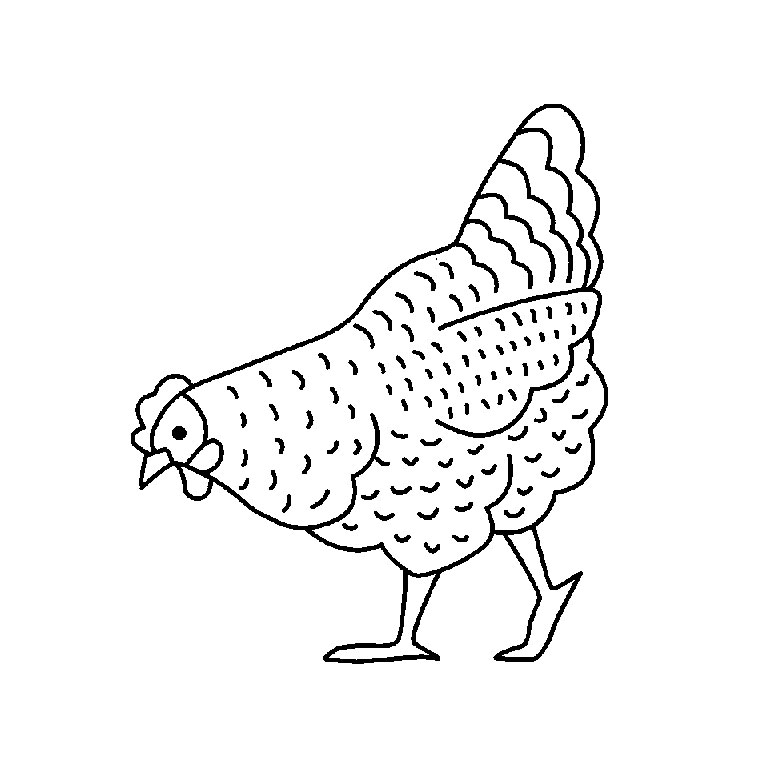 Pollo #8256