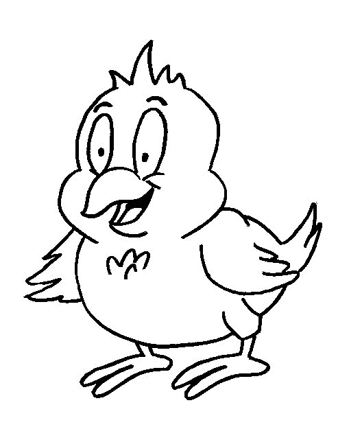 Pollo #8258