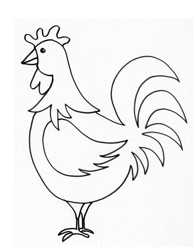 Pollo #8261