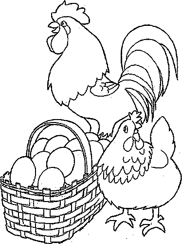 Pollo #8279