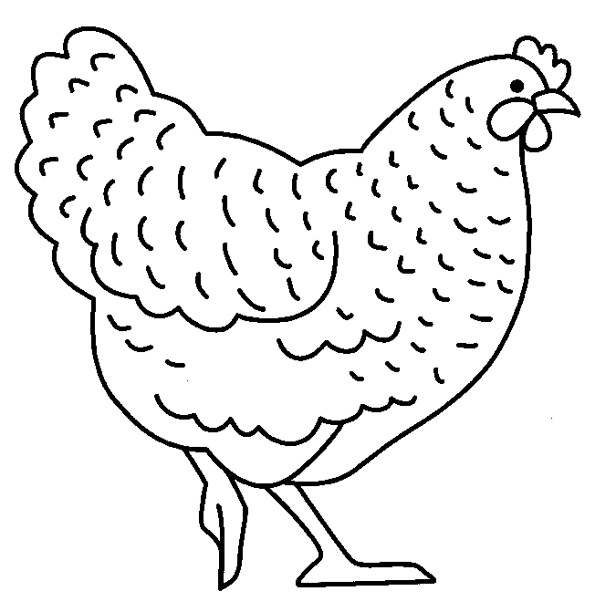 Pollo #8282