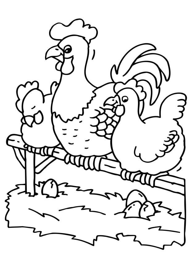 Pollo #8283