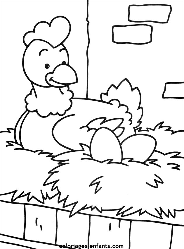 Pollo #8285