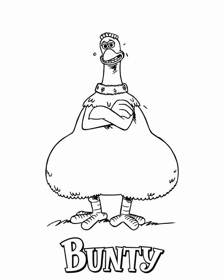 Pollo #8291