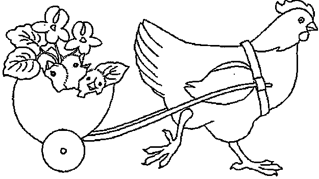 Pollo #8294