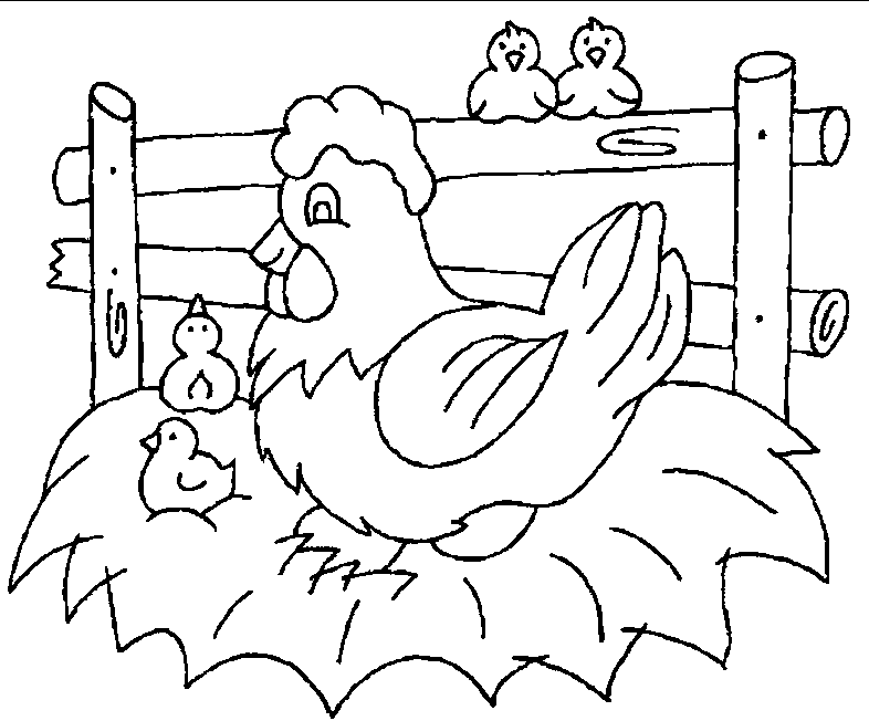 Pollo #8295