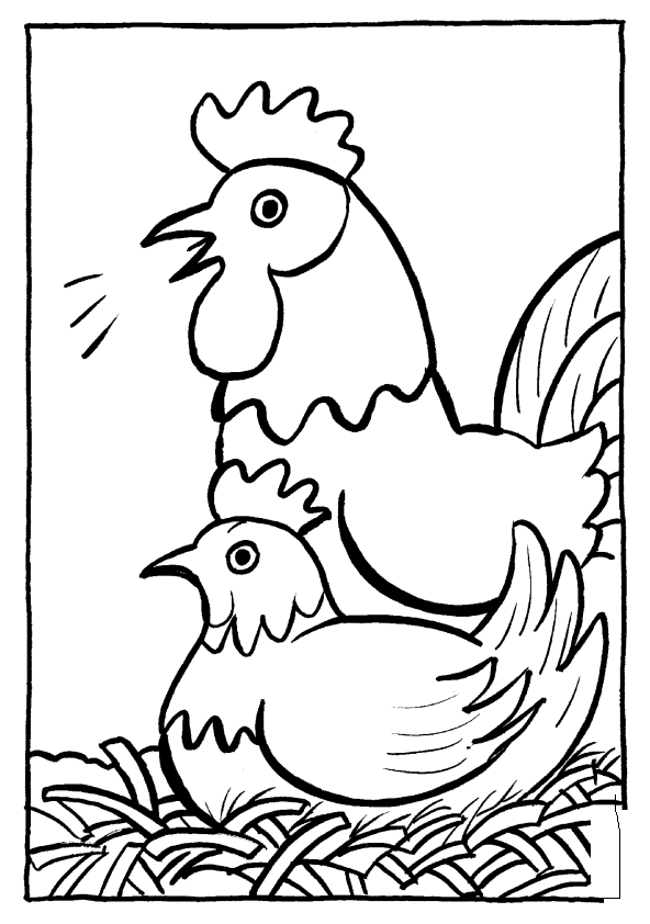 Pollo #8299