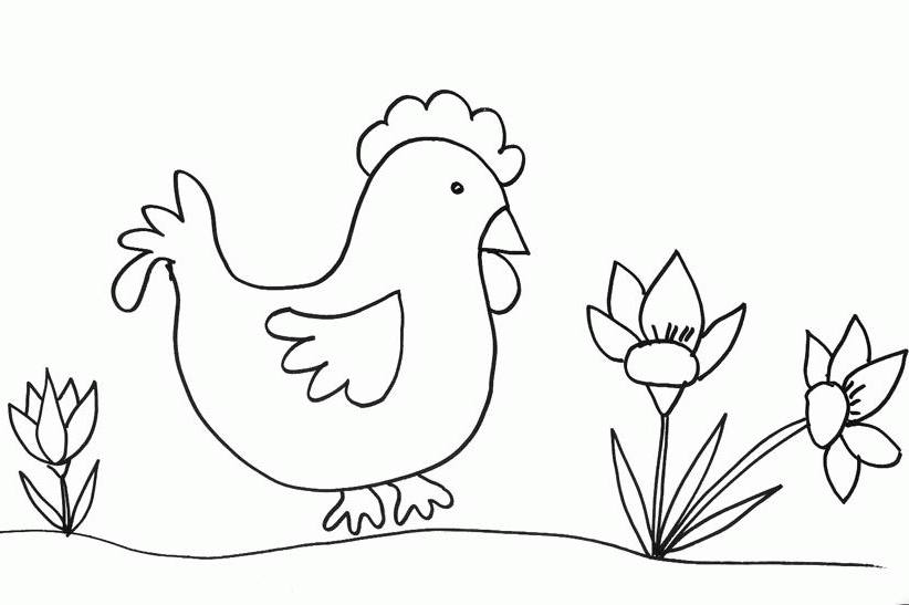 Pollo #8320