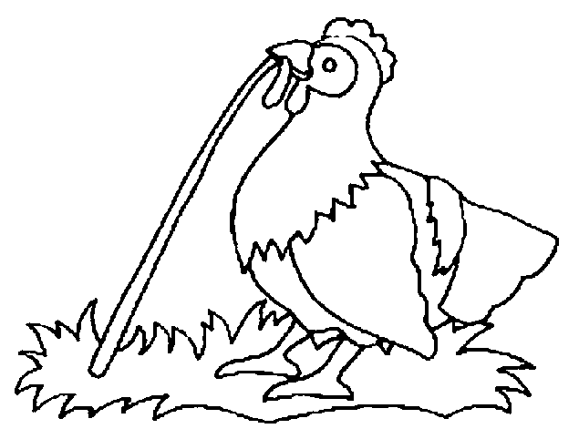 Pollo #8339