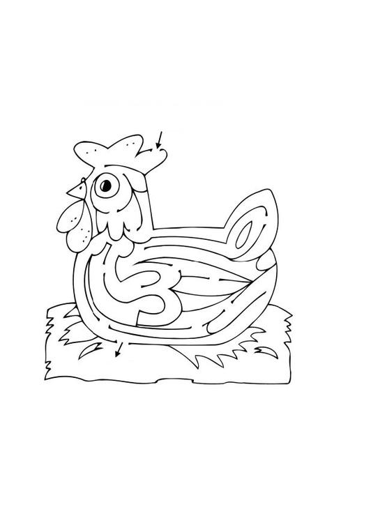 Pollo #8342