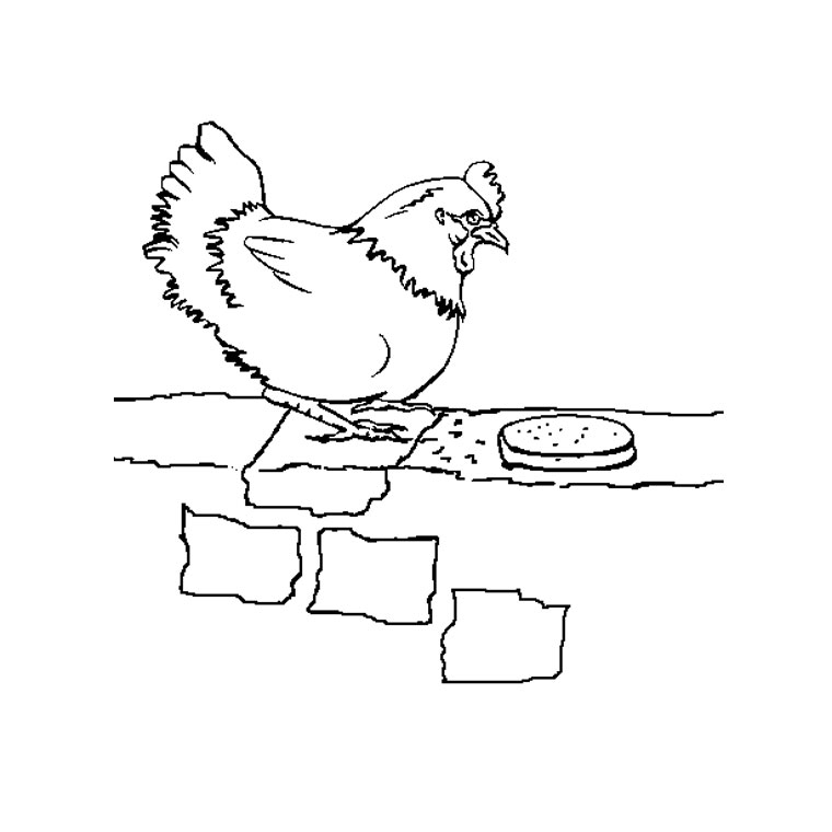 Pollo #8343