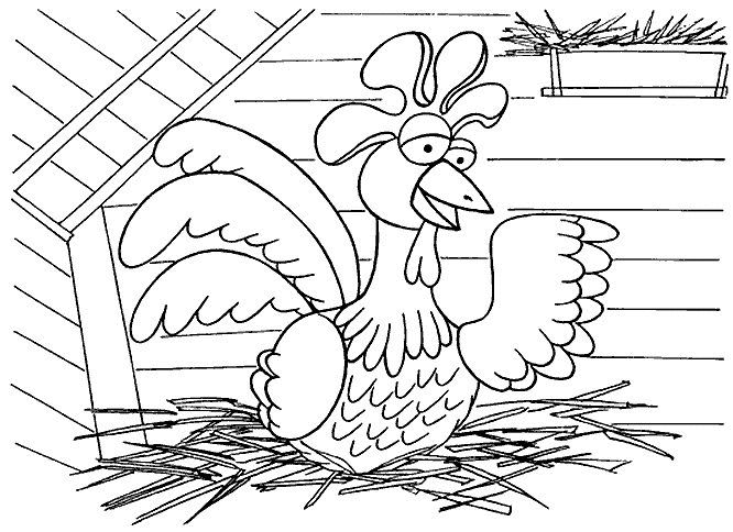 Pollo #8351