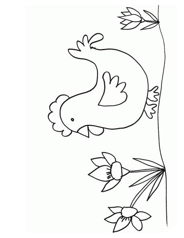 Pollo #8353