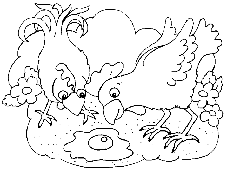 Pollo #8355