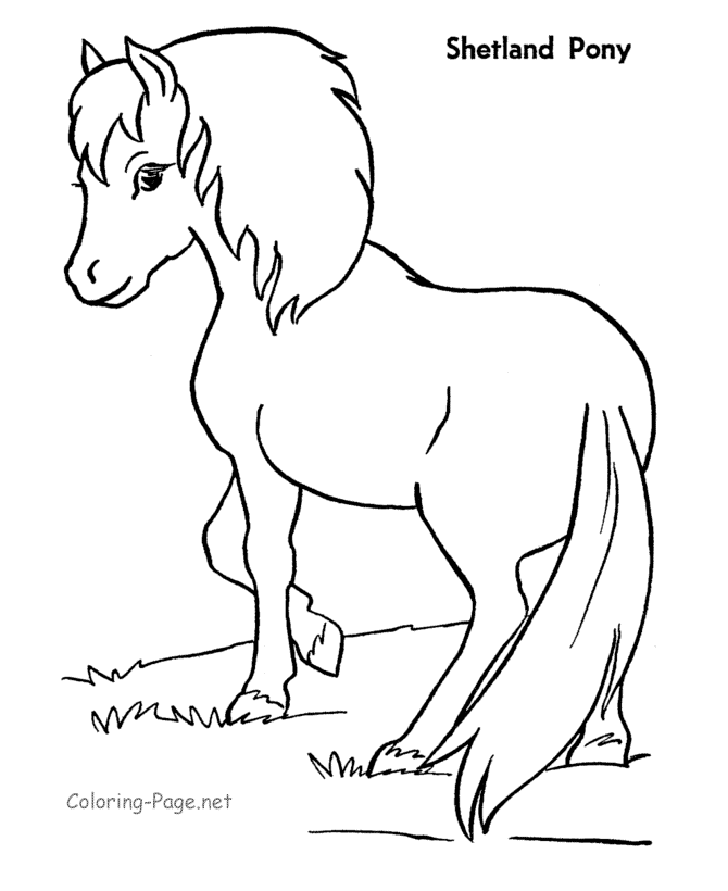 Poni #8557