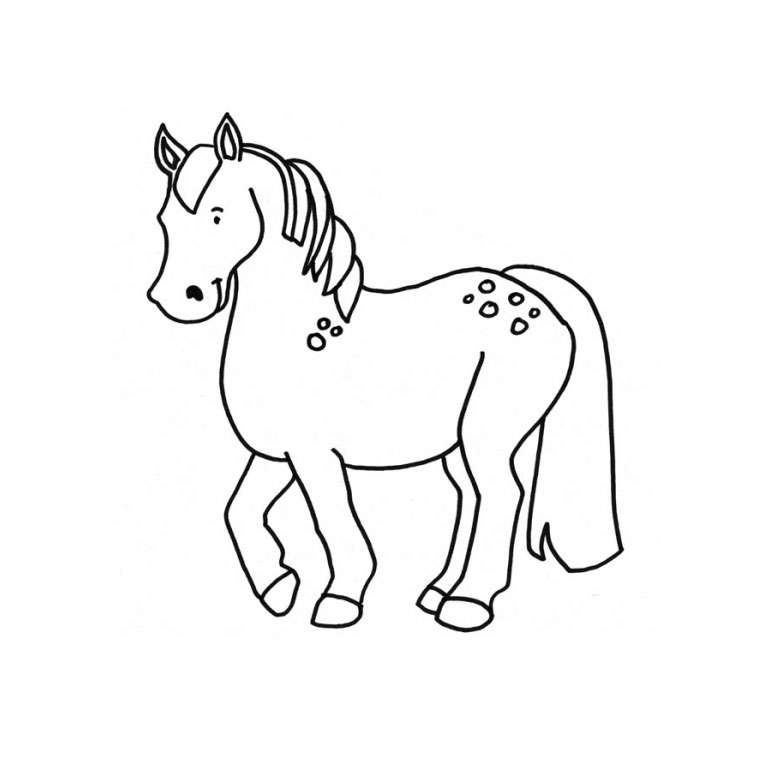 Poni #8582