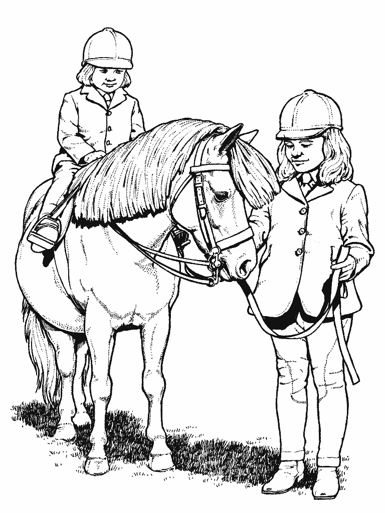 Poni #8591
