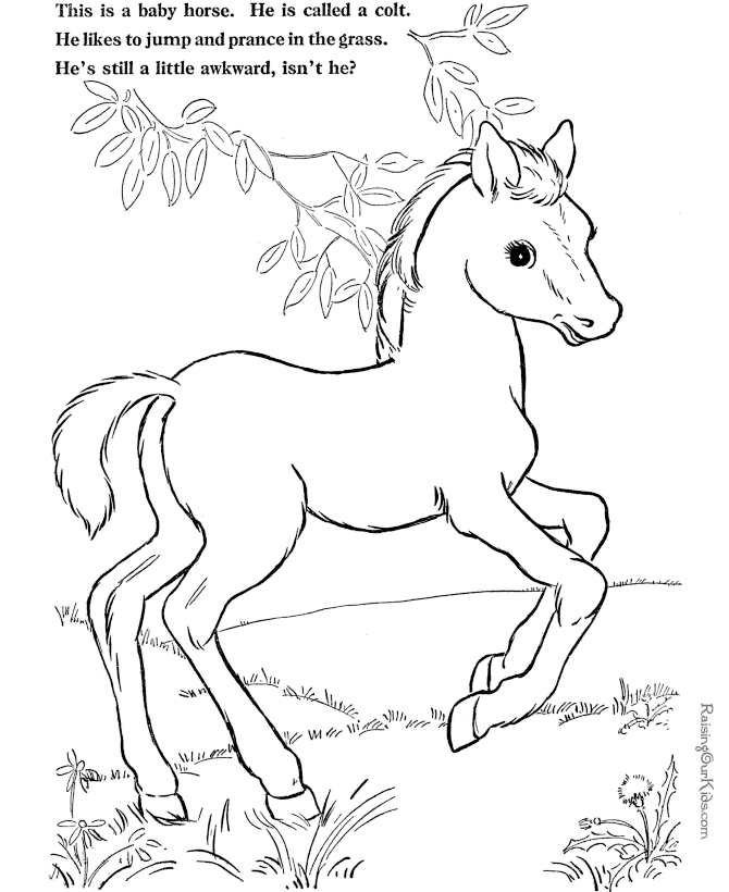 Poni #8627