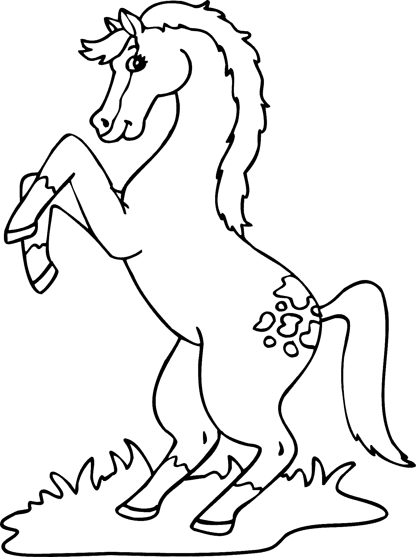 Poni #8637