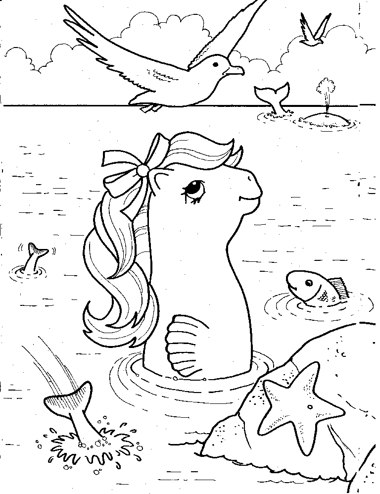 Poni #8649