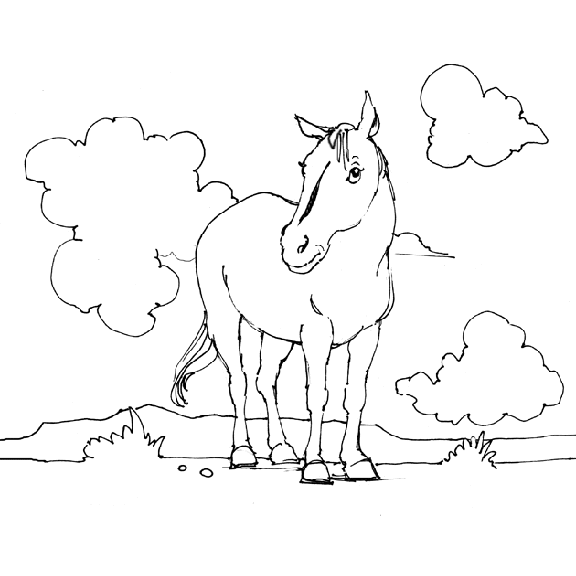 Poni #8654
