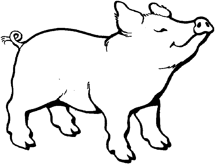 Cerdo #8677