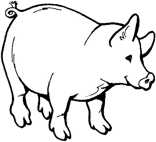 Cerdo #8681