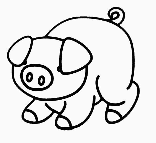Cerdo #8684