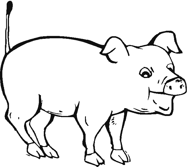Cerdo #8687