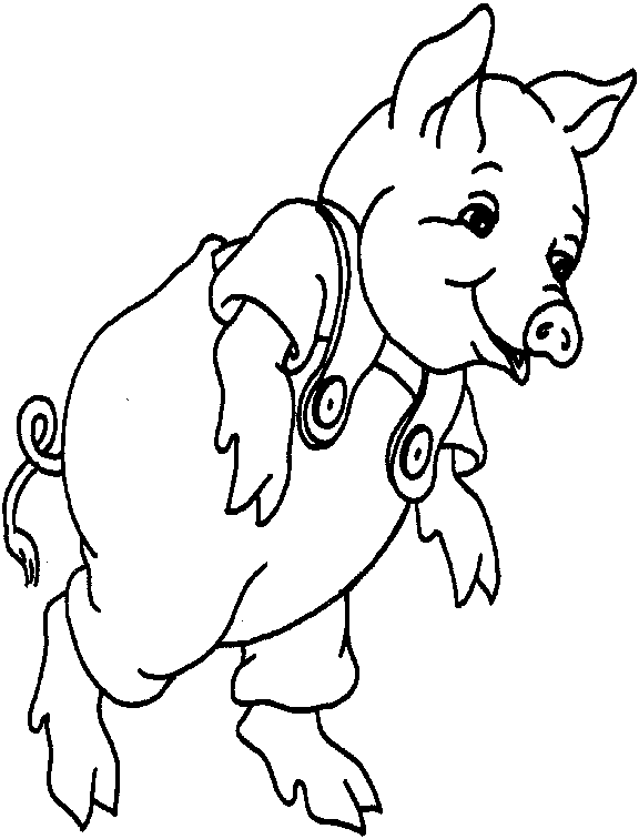 Cerdo #8693