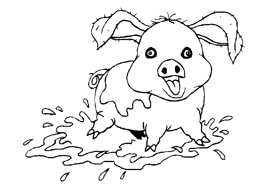 Cerdo #8695