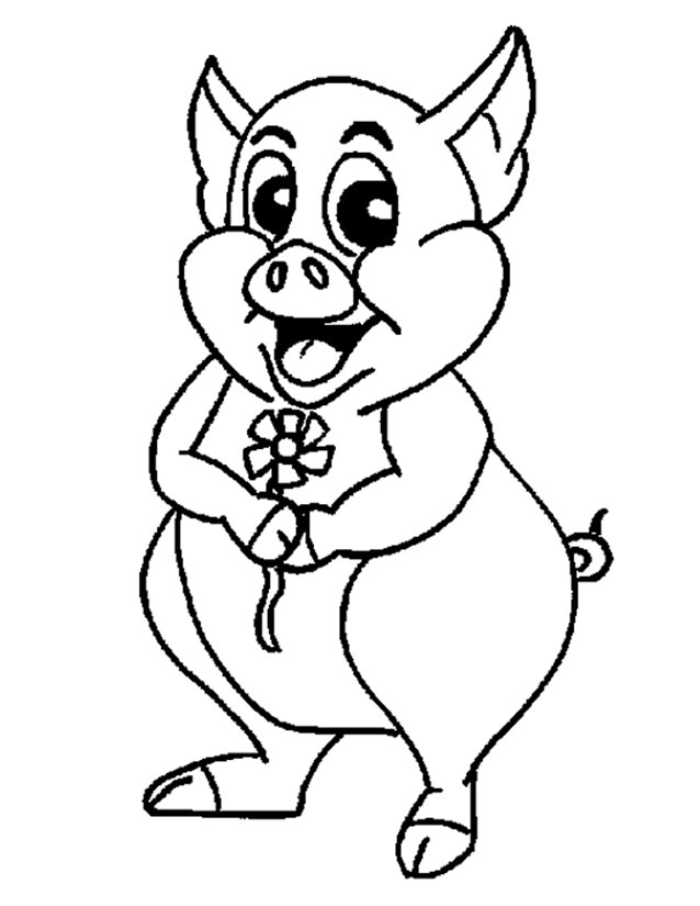 Cerdo #8697