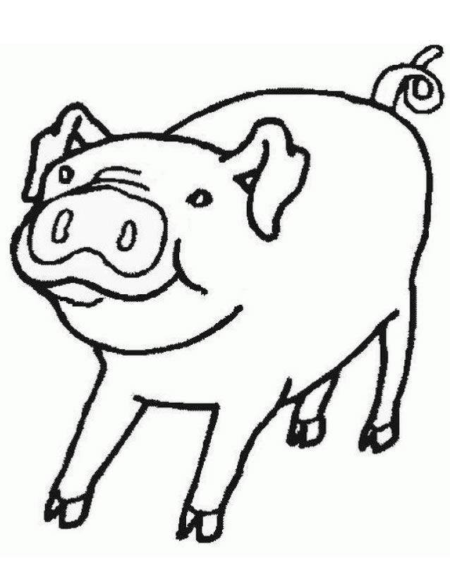 Cerdo #8703
