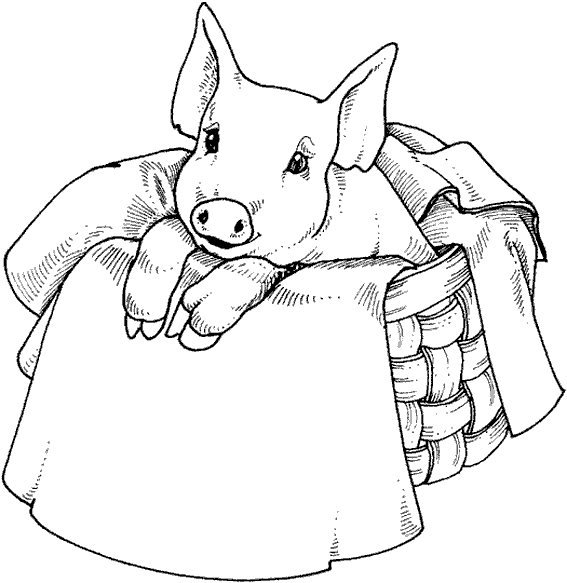 Cerdo #8707