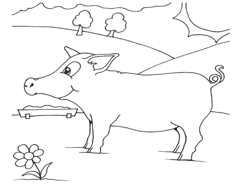 Cerdo #8723