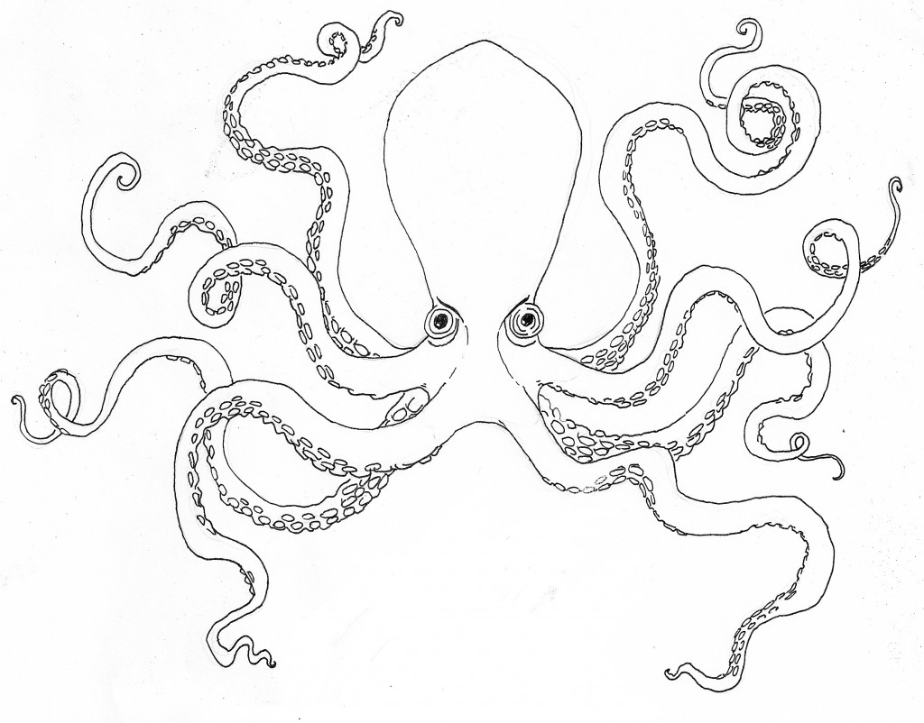 Pulpo #8725