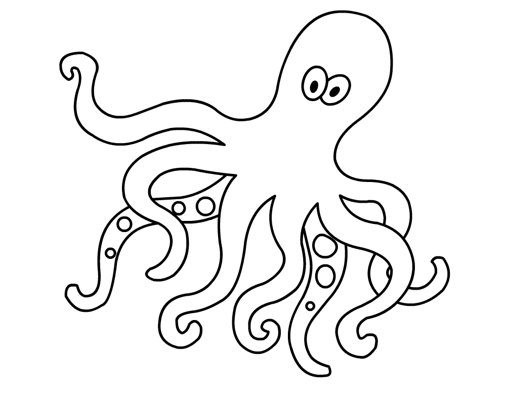 Pulpo #8726