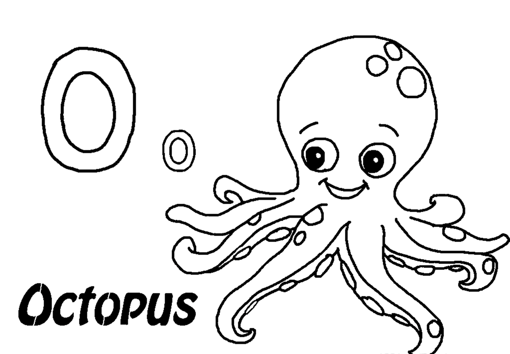Pulpo #8728