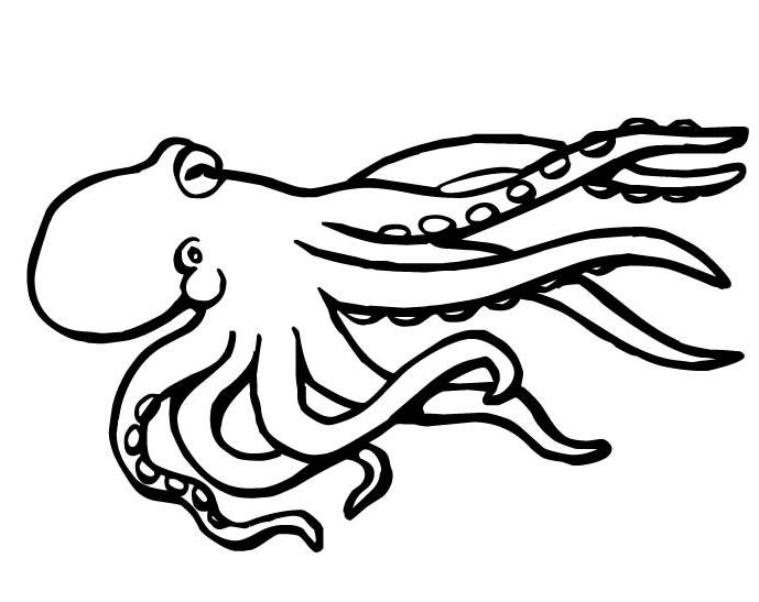 Pulpo #8729