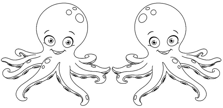 Pulpo #8732