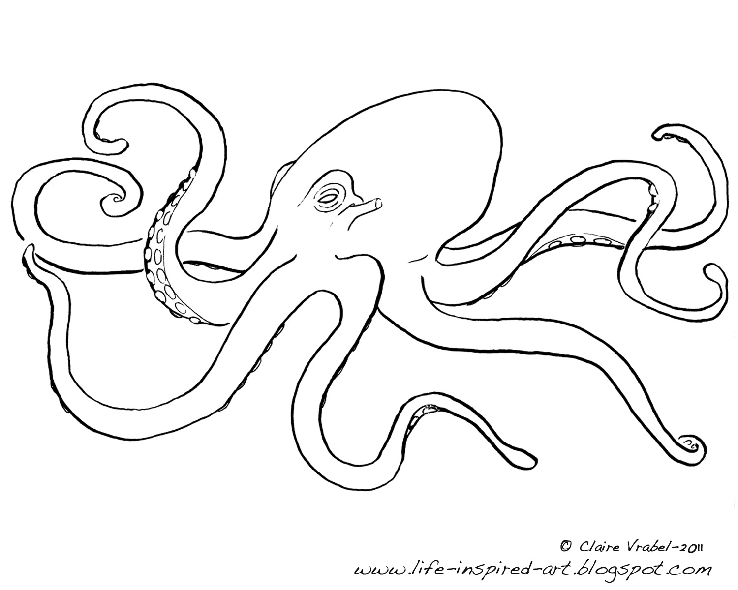 Pulpo #8733
