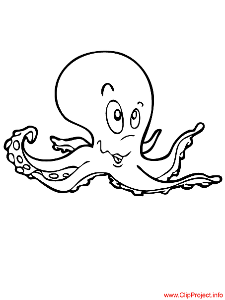Pulpo #8735