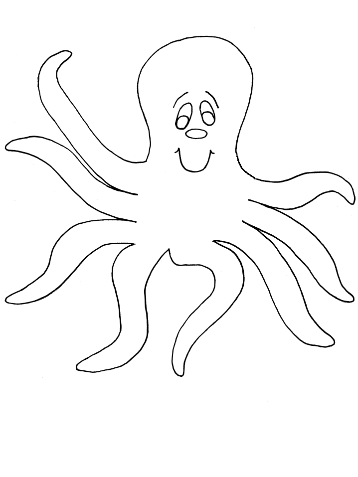 Pulpo #8736